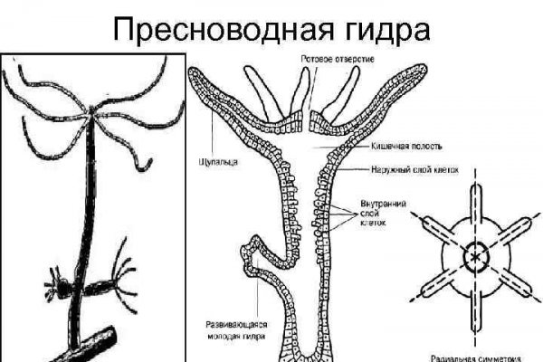 Купить бошки в москве